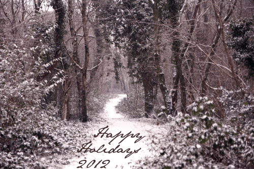 Happy Holidays 2012